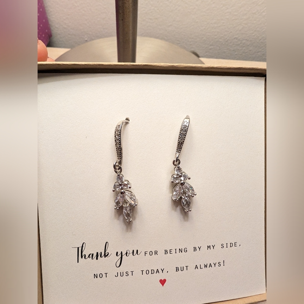 Silver Drop Earrings New